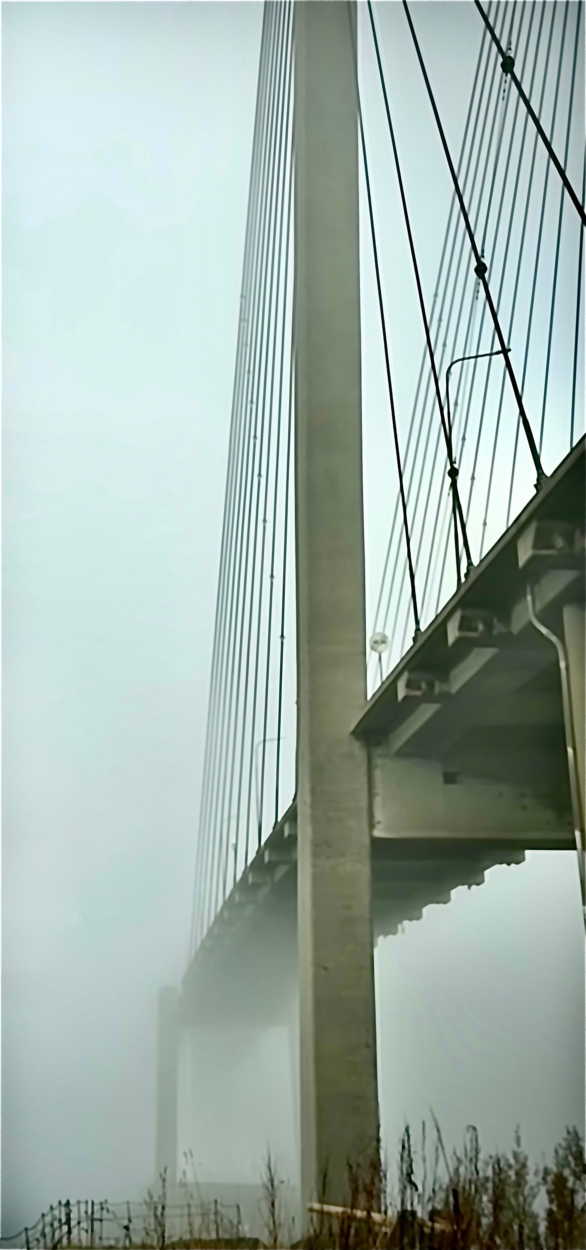Close view looking upward along the cables of a bridge