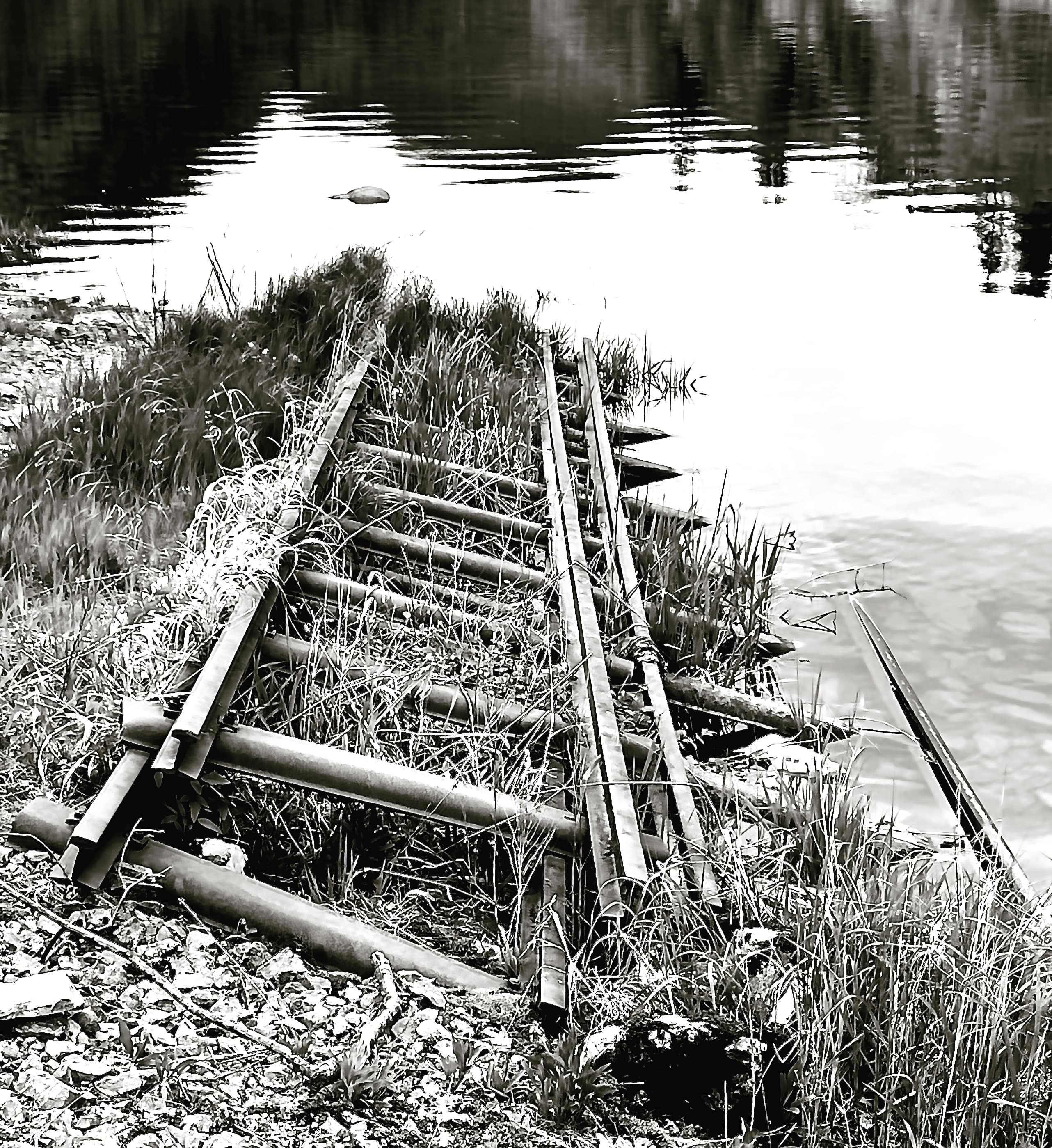 A rusted ladder descending into water in black and white